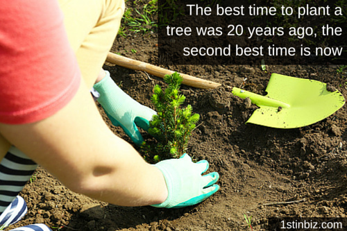 the best time to have planted a tree was 20 years ago or today